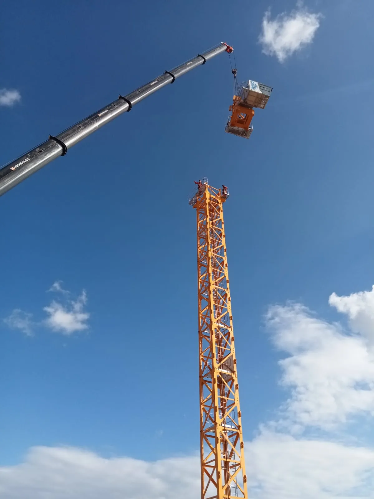 Dahan kule vinc kis sezonu calismasi